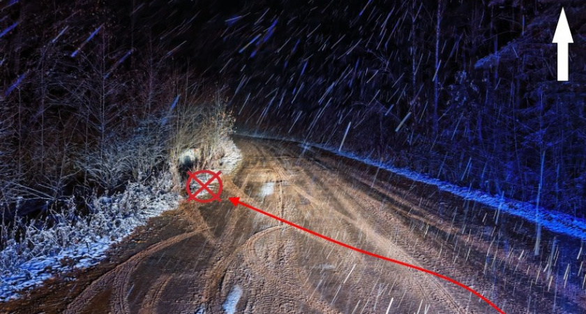 В Коми пьяный лихач без прав перевернулся в кювет