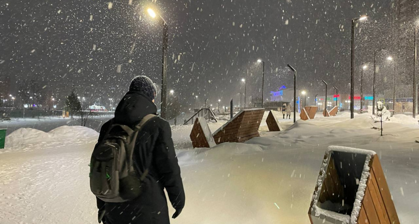 Зима 2025-2026 в России: предварительный прогноз на декабрь, январь и февраль