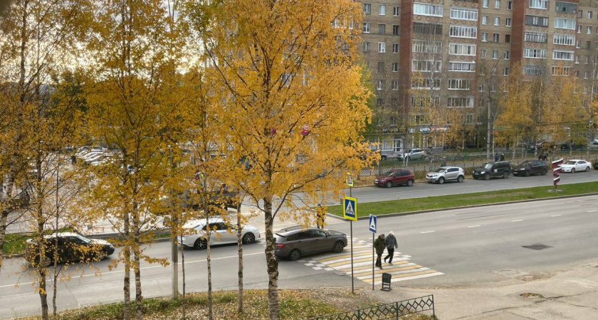 Должны ли водители дожидаться, пока пешеход перейдёт по зебре до конца или нет