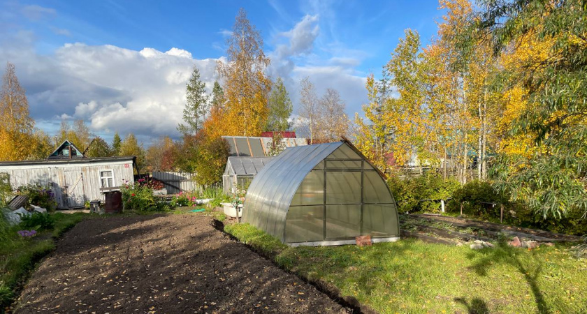 Литр на ведро — и перегниют даже палки и куриные кости: экспресс-компост за сезон — еще и землю оздоровит без химии