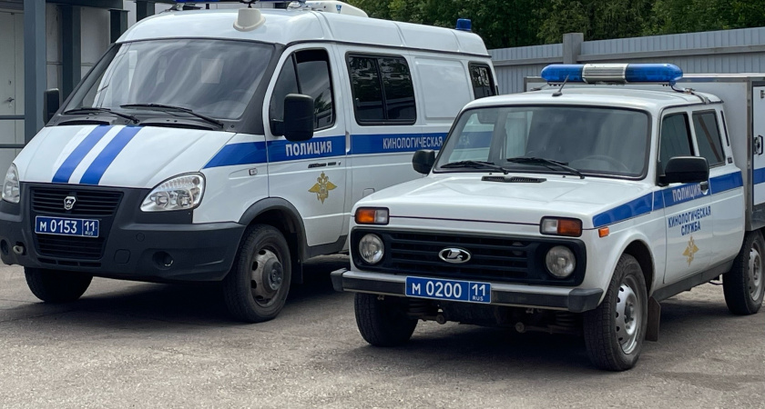 В Коми задержали наркоторговца: ему грозит тюремный срок