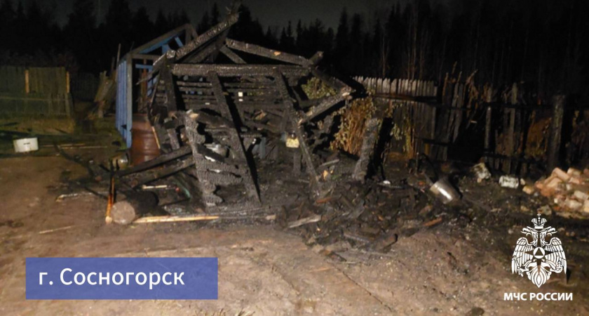 За последние сутки в Коми спасатели ликвидировали семь пожаров