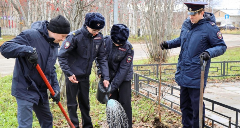 В Коми высадили Аллею памяти в честь погибшего полицейского
