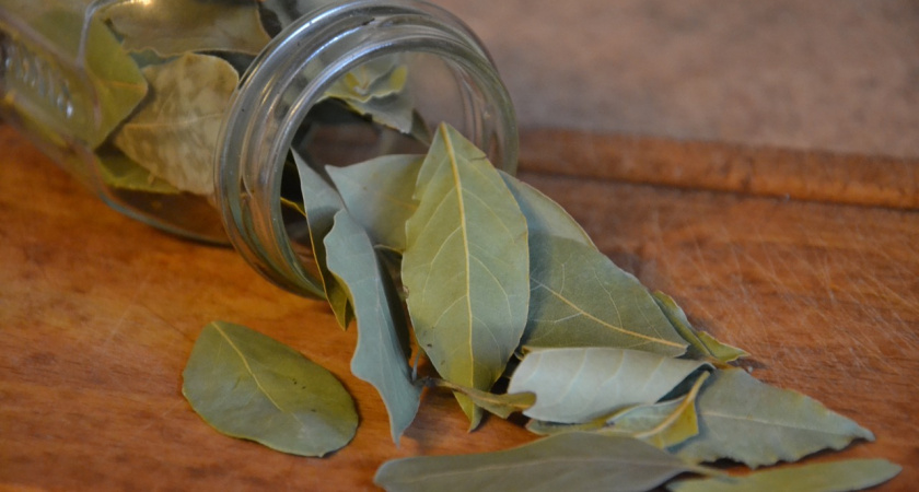 "Натри зеркало луком, а в сахар положи лавровый лист": советы из бабушкиной тетради времен СССР