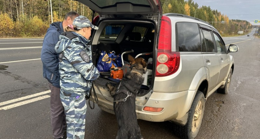 В ФСБ отчитались, сколько незаконного оружия и боеприпасов выявили на дорогах Коми за неделю