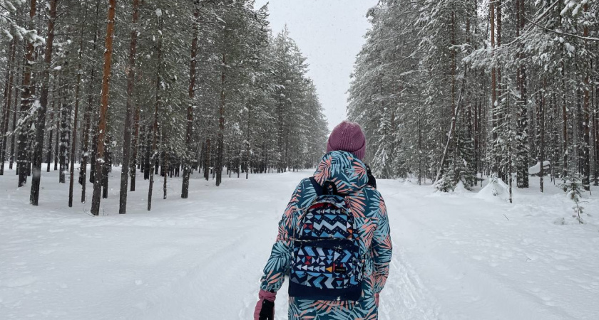 Зима на пороге: в какие регионы России пришли ранние холода и снег