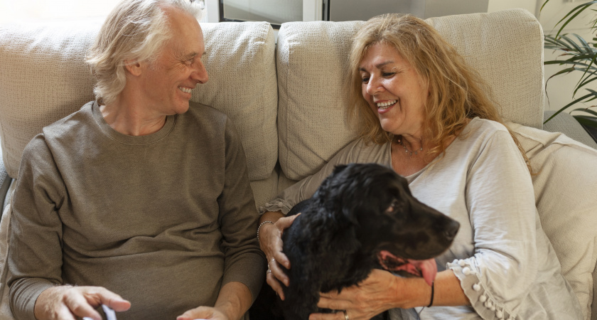 На пенсию - вместе: 8 пород собак, которые идеально подойдут пожилым людям