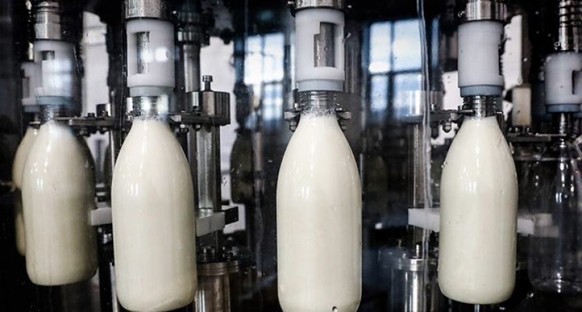 Республика Коми попала в число лидеров по внедрению цифровой маркировки продуктов питания