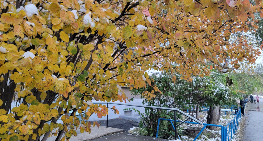 Коми окутают морозы и мокрый снег 