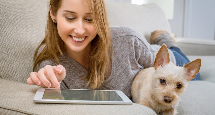 8 пород собак, которые не пахнут - идеальны для дома, квартиры и аллергиков