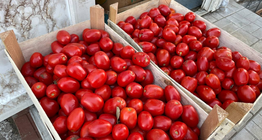 Не боятся холода: агроном назвала три сорта томатов, которые дадут урожай даже в прохладное лето