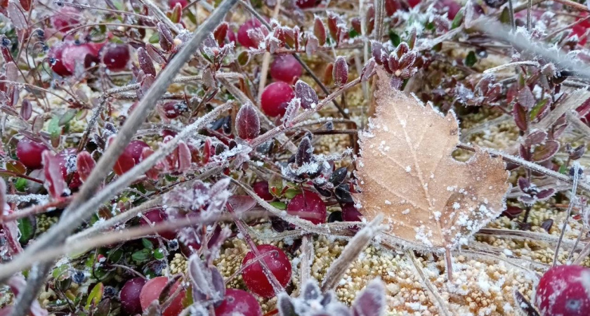 «Поступили новые данные». Синоптики резко изменили прогноз на ноябрь