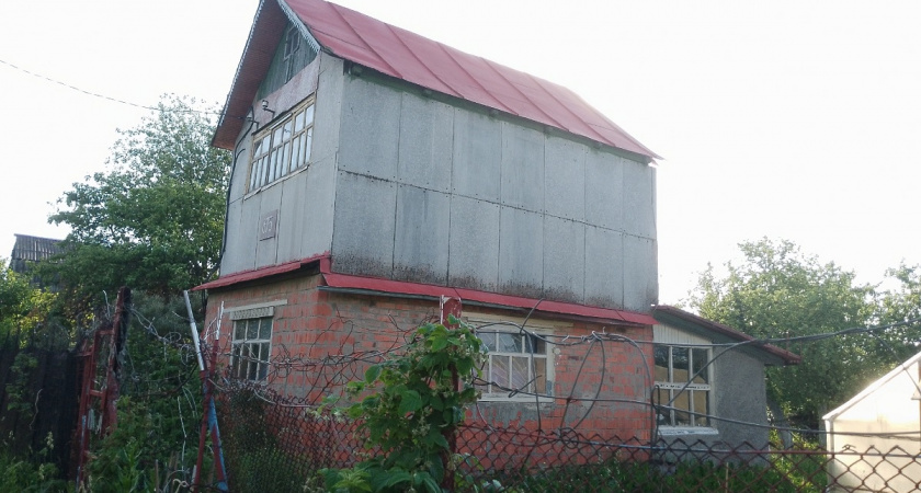 Рассыпаю этот порошок на грядки в ноябре: весной грядки ломятся от томатов и перца - даст фору любым удобрениям