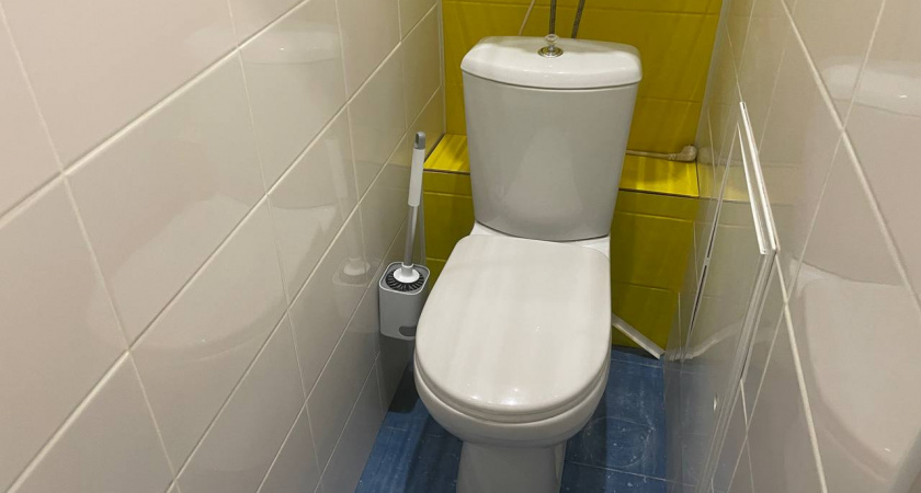 Почему я всегда опускаю крышку унитаза — и вам настоятельно советую