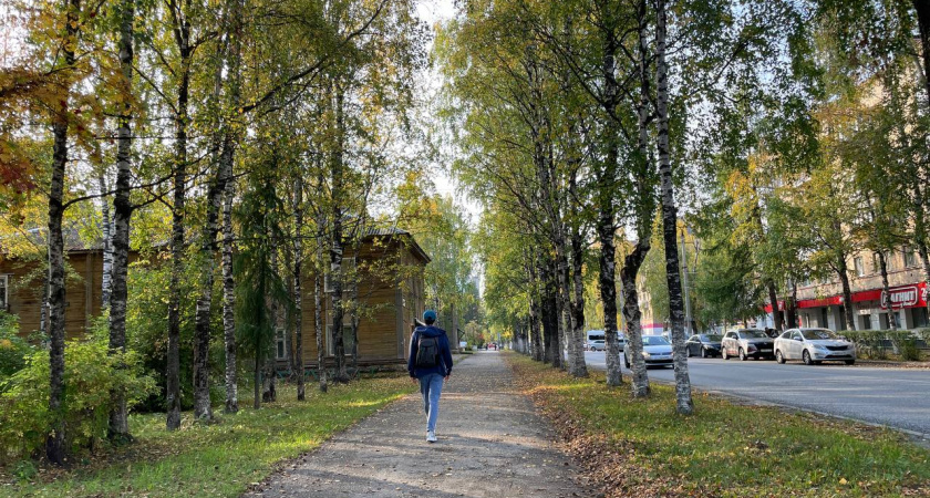 Это делают только глупцы: четыре привычки в поведении людей с низким интеллектом