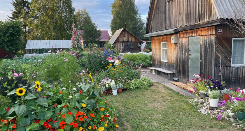 Купил дом в деревне и глазам не поверил: 10 мифов о русском селе- в них до сих пор верят городские