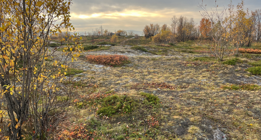 В Коми грядет резкое похолодание после аномального тепла