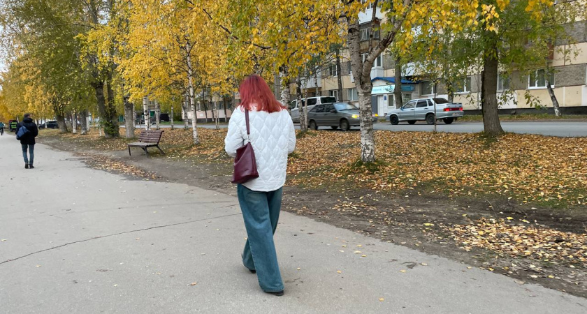 Исчезновение прекрасного: Почему мы разучились видеть настоящую красоту