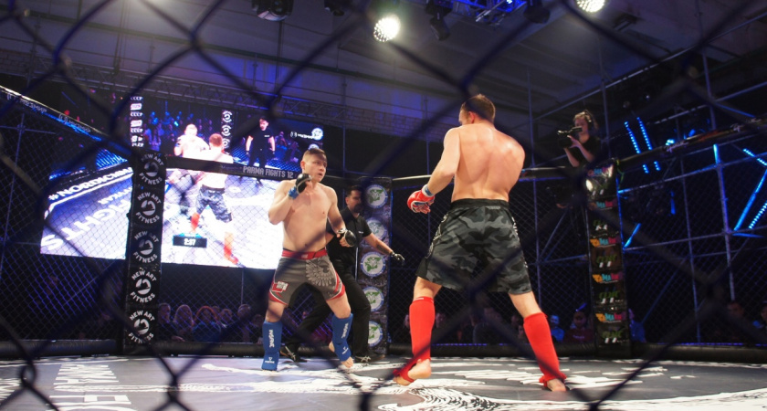 В Коми более 20% мужчин посещает спортивные турниры 