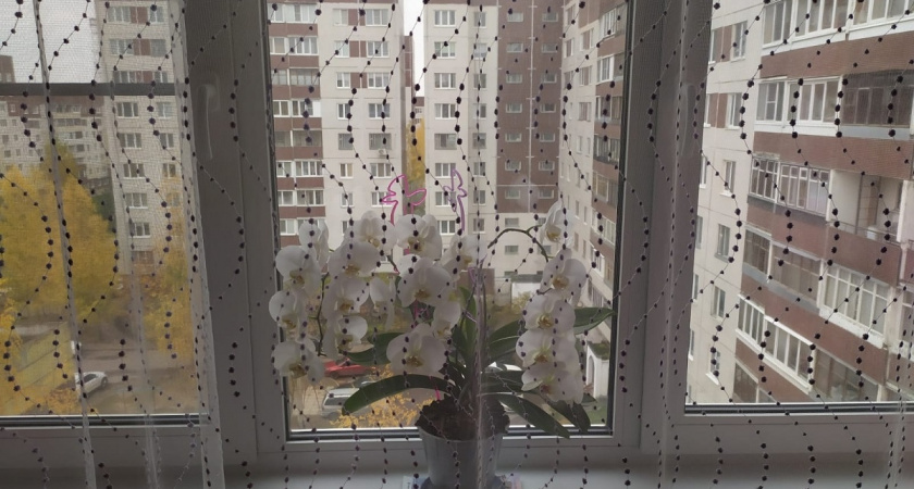 Подоконник больше не холодный, и перестало дуть из щелей и стыков: 3 шага и дома тепло даже в - 40