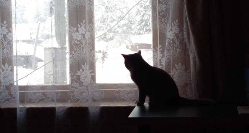 Жила в Европе 3 года и узнала: то, что у нас считают дурной приметой, там приносит удачу. Больше не пугаюсь разбитых зеркал и черных кошек