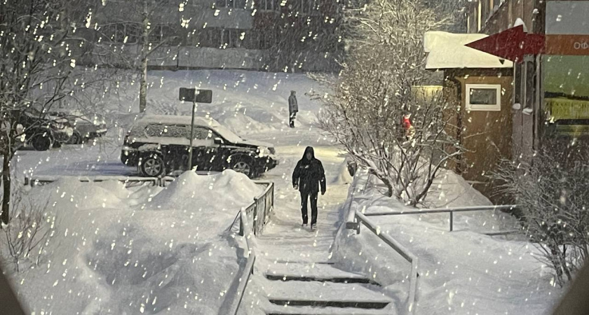 Зима-2026 будет безжалостна: синоптики советуют дачникам и пожилым людям готовиться к худшему - прогноз