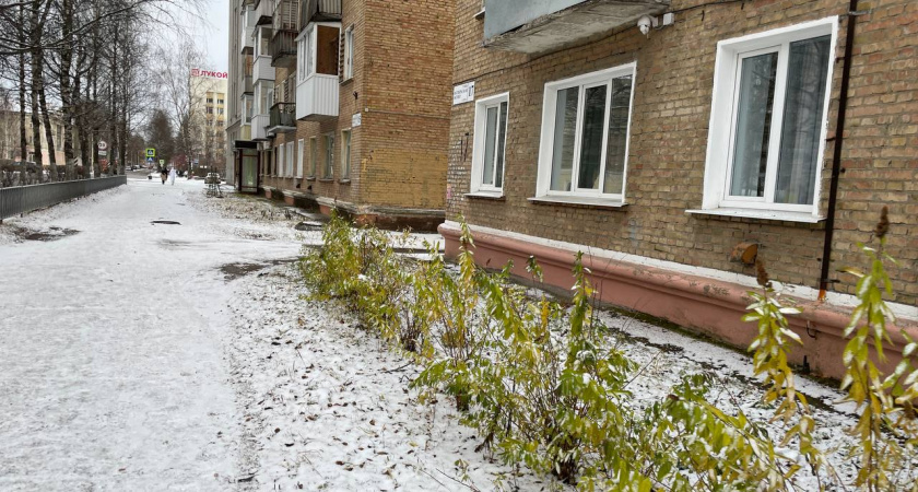 Резкое похолодание надвигается на Россию: Метеоролог Вильфанд назвал сроки