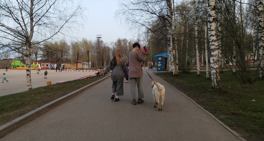 Ученые назвали животное умнее собак: кто умнее домашних питомцев