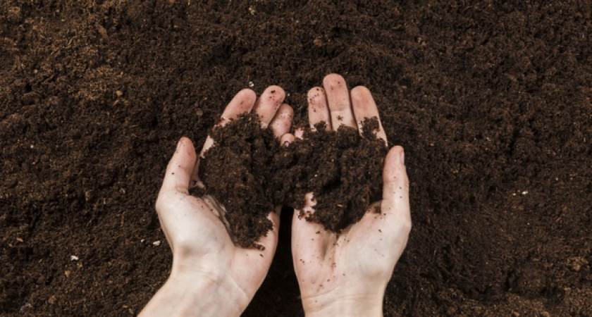 1 стакан «муки» заменяет 17 килограмм навоза: раскидываю даже по снегу - и весной земля плодороднее чернозёма