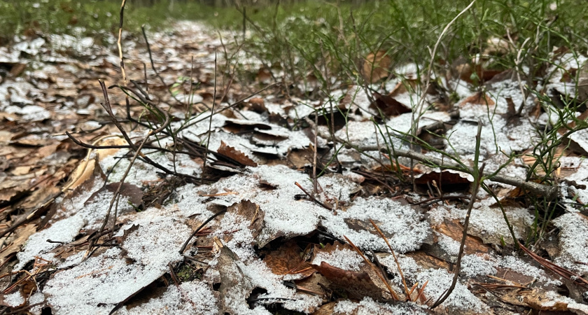 В Коми установились зимние морозы: на севере до -27 градусов, пока на юге лишь легкий минус