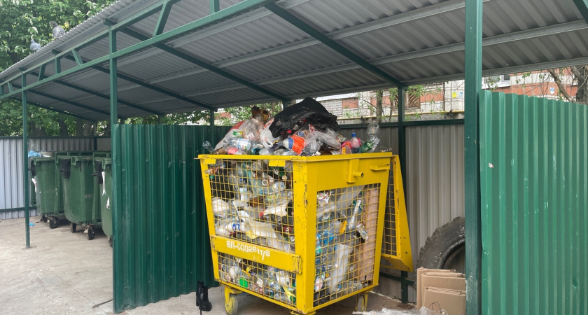 В Коми к 2030 году создадут три крупных объекта и пять сортировочных комплексов для ТКО