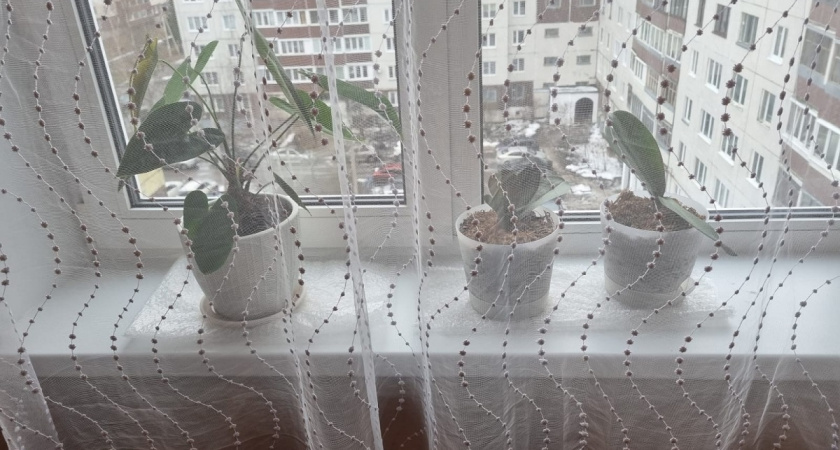 «Сделал 2 движения — и стеклопакет герметичен всю зиму»: простой способ утеплить окна всего за 5 минут