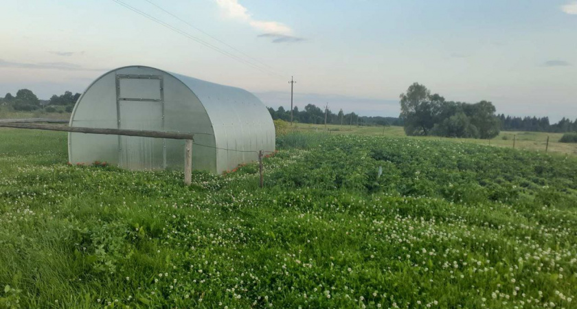 Зимнее проветривание теплицы: Баланс между здоровьем почвы и сохранением тепла