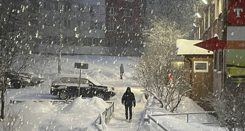 Самая суровая зима за последние 250 лет: синоптики предсказывают аномальные морозы до –40 и снежные бури