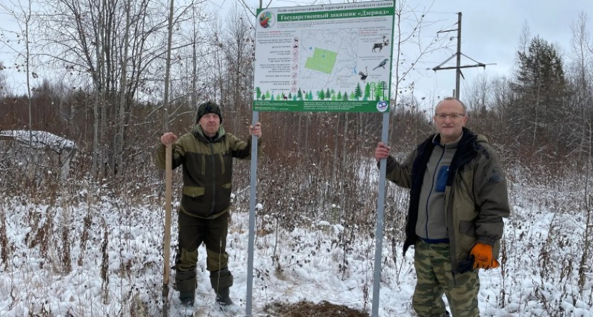 Спасти северного оленя: в новом заказнике в Коми установлены пять защитных аншлагов