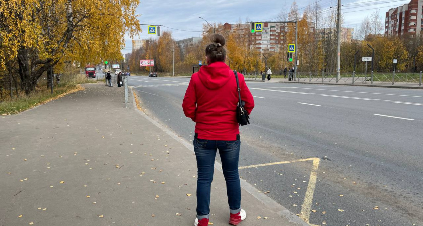 «Состарившийся волк — посмешище для собак»: Почему после 50 стоит перестать доказывать и начать жить