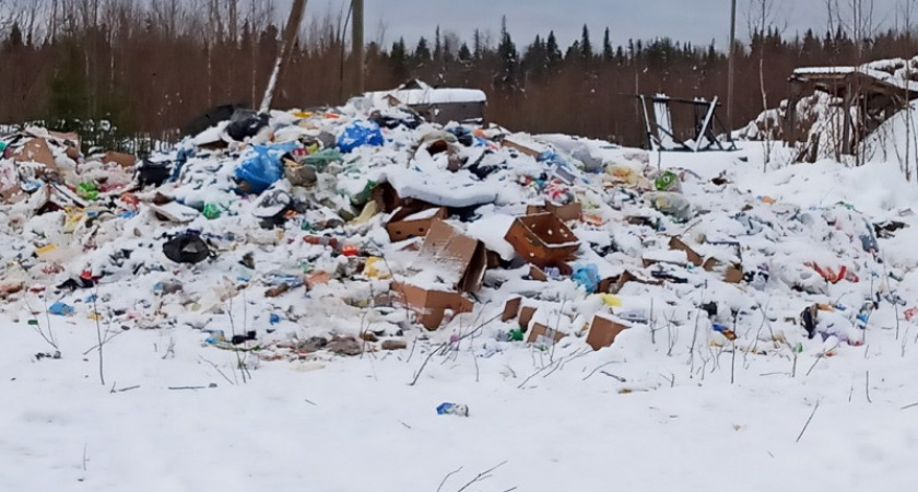 Свалка в Коми загорелась: прокуратура подключила Роспотребнадзор и полицию