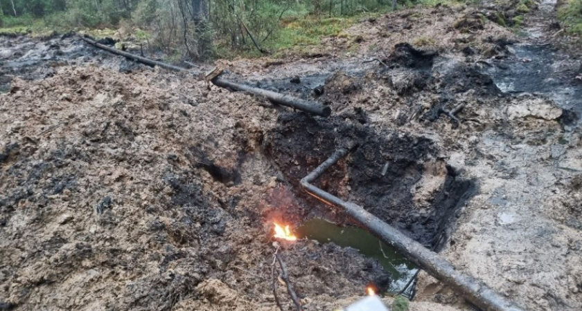 Нефтяная компания заплатит 19 миллионов за ущерб лесам Коми