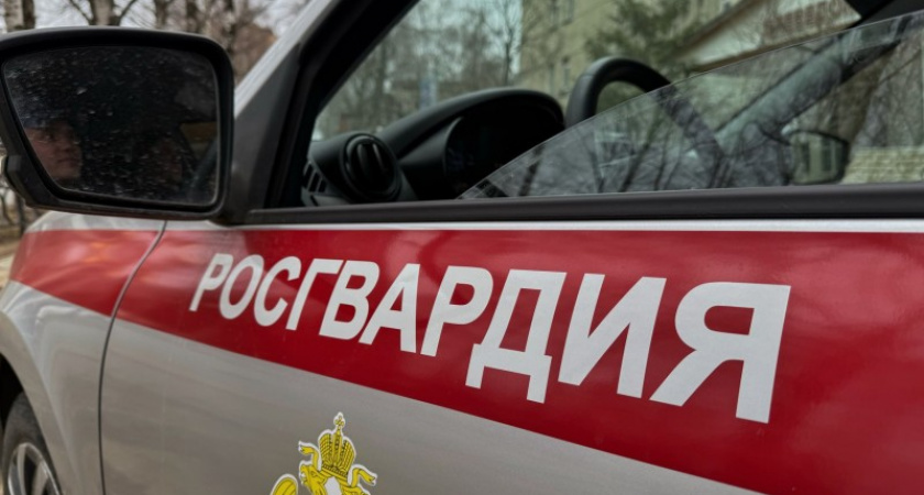 В Коми женщина устроила дебош в баре и была задержана Росгвардией