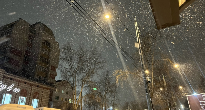 22 ноября в Коми ожидается снег, умеренный ветер и метель 