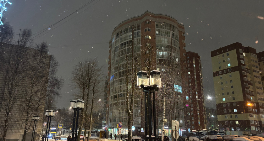 24 ноября в Коми прогнозируется облачная погода, снег и гололед