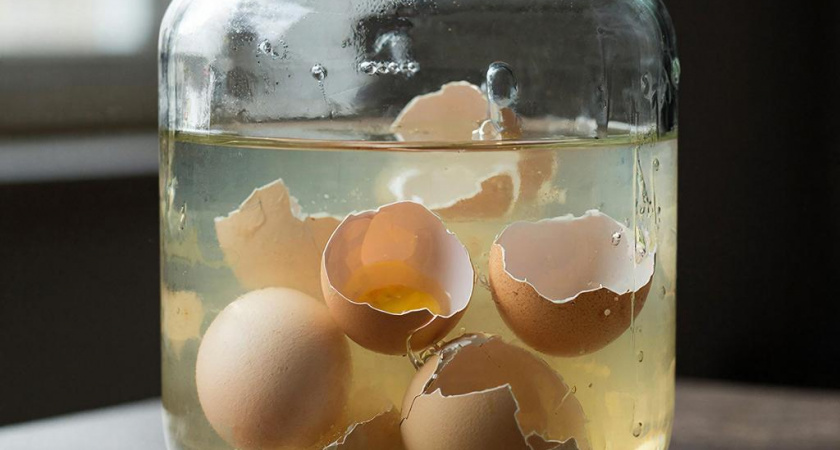 Замачиваю яичную скорлупу в уксусе на 48 часов и радуюсь результату: почва рыхлая, мягкая как пух - покупные удобрения не нужны