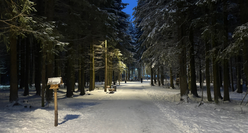 В Коми 28 ноября потеплеет до плюс 1 градуса 