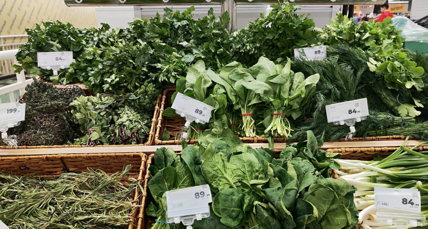 Топ-5 способов хранения зелени в домашних условиях - подсмотрели у знаменитых поваров