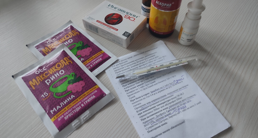 В Коми зафиксировали необычный вирус гриппа