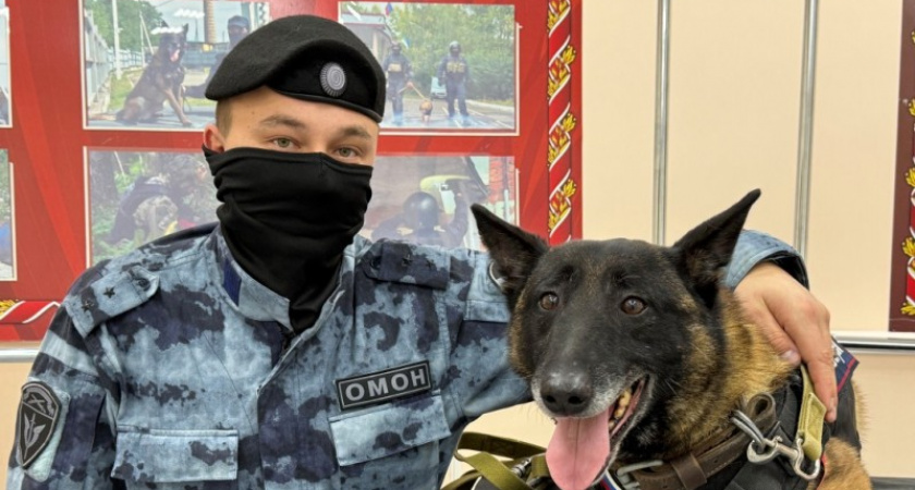 В Коми служебную собаку впервые удостоили ведомственной наградой при выходе на пенсию