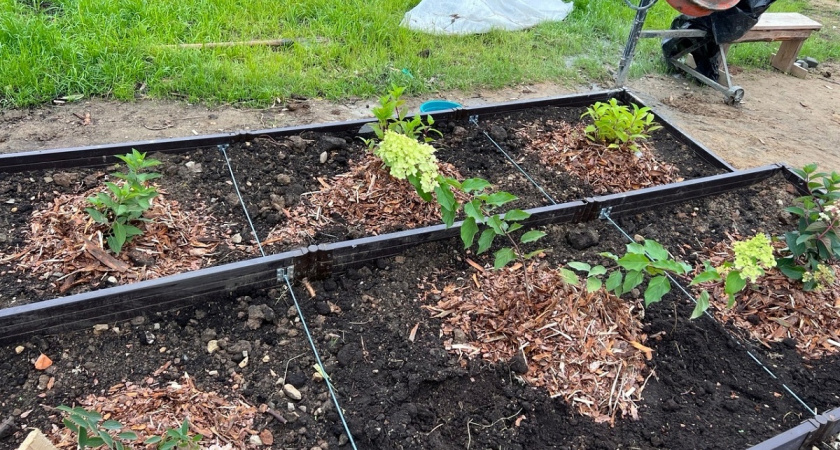 Не трачу время впустую как многие: 11 вещей, которые не стоит делать в огороде