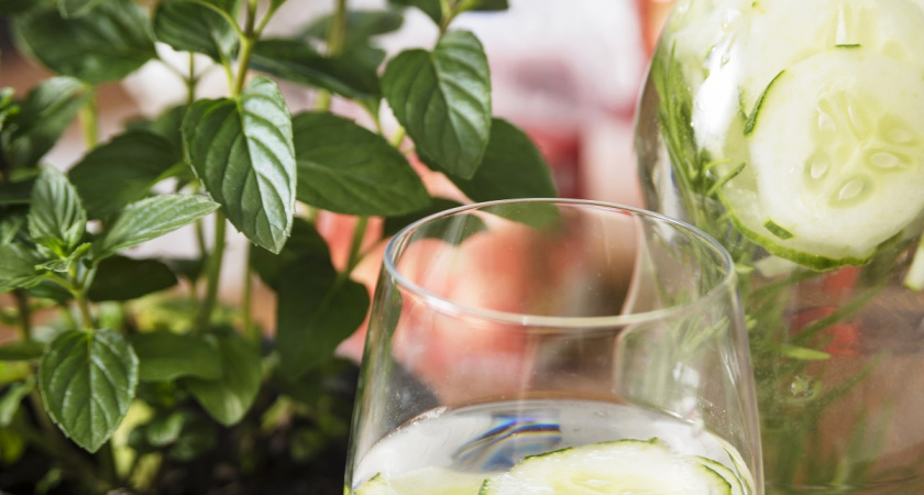 Открываю метод выращивания огурцов на подоконнике – свежие овощи на новогодние праздники