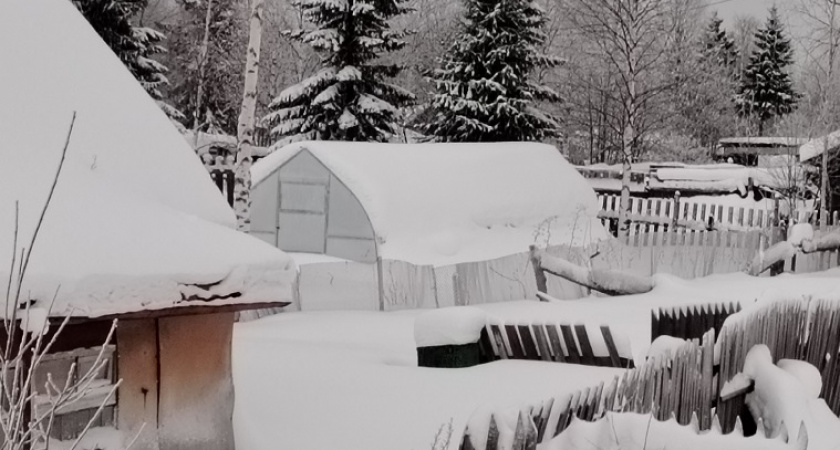 Давайте разберемся, стоит ли зимой оставлять теплицу из поликарбоната открытой