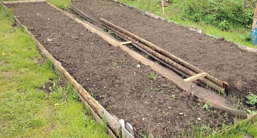 Щедро рассыпьте это по теплице и грядкам в ноябре-декабре, и будущий урожай потрясёт